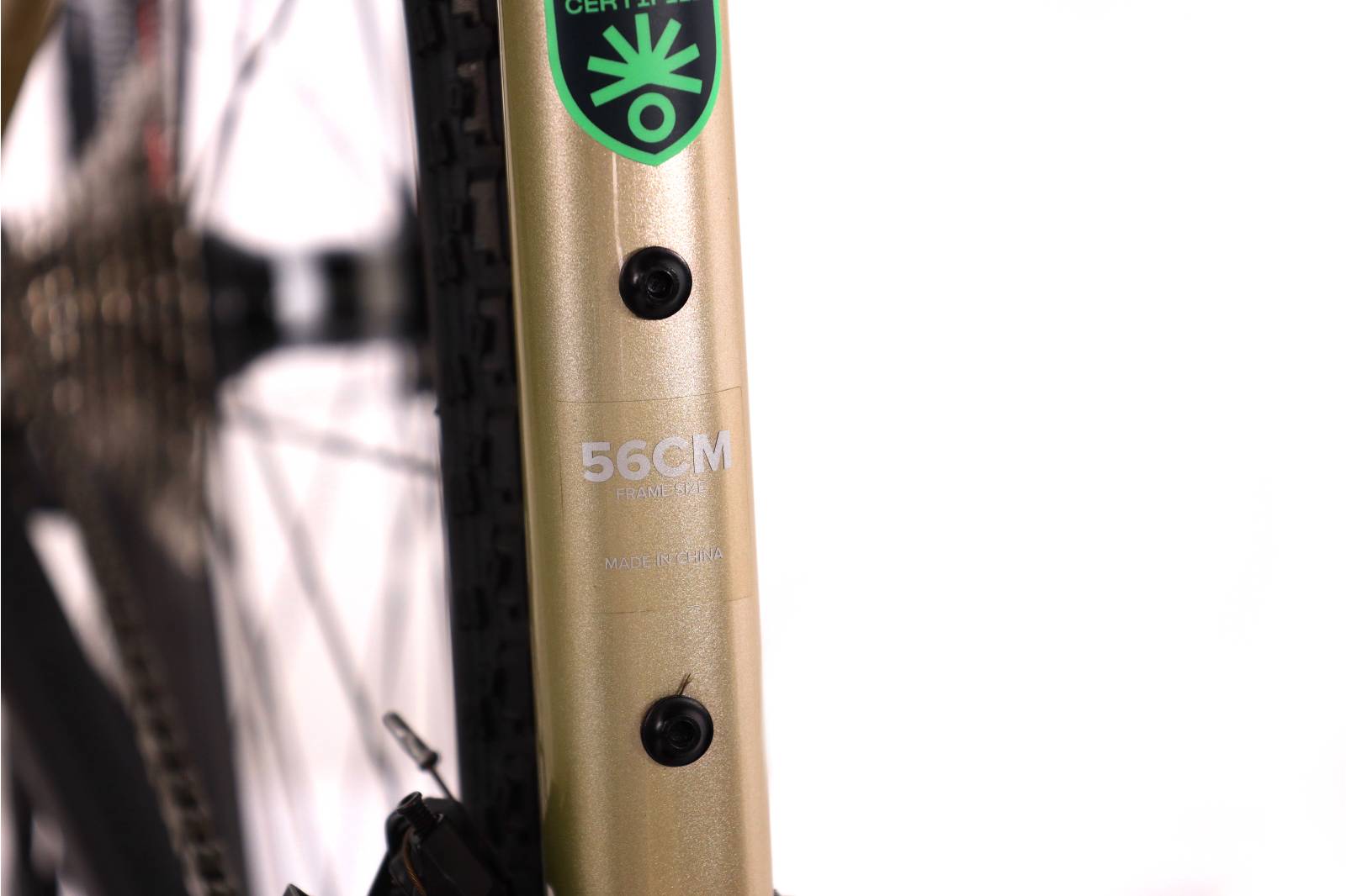 Santa Cruz Stigmata CC