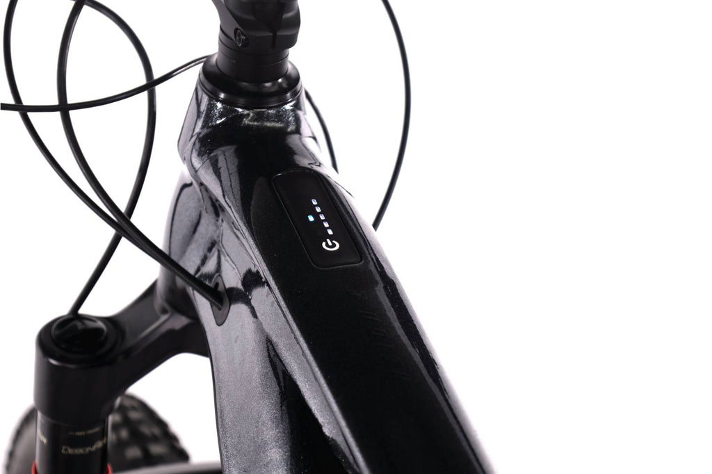 Giant Reign E+2 MX PRO