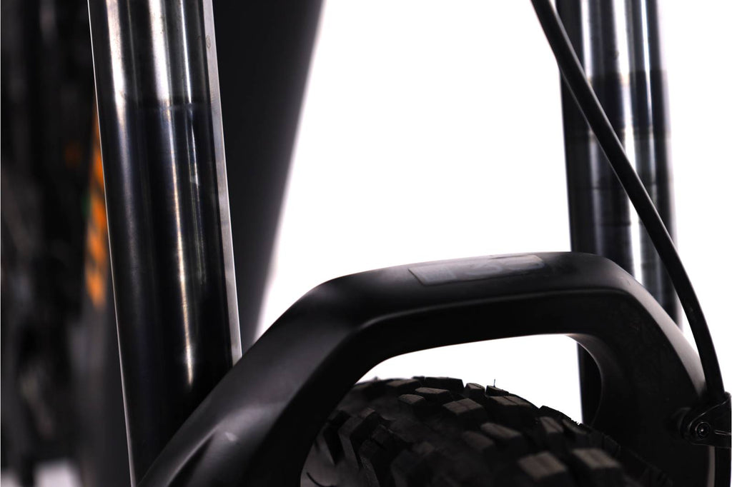 Ghost E-Riot CF Advanced