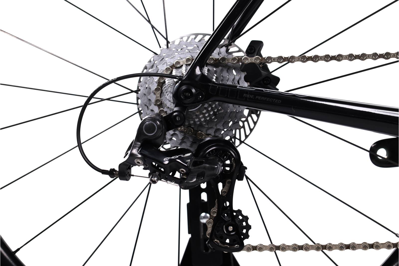 Basso Venta Disc Campagnolo