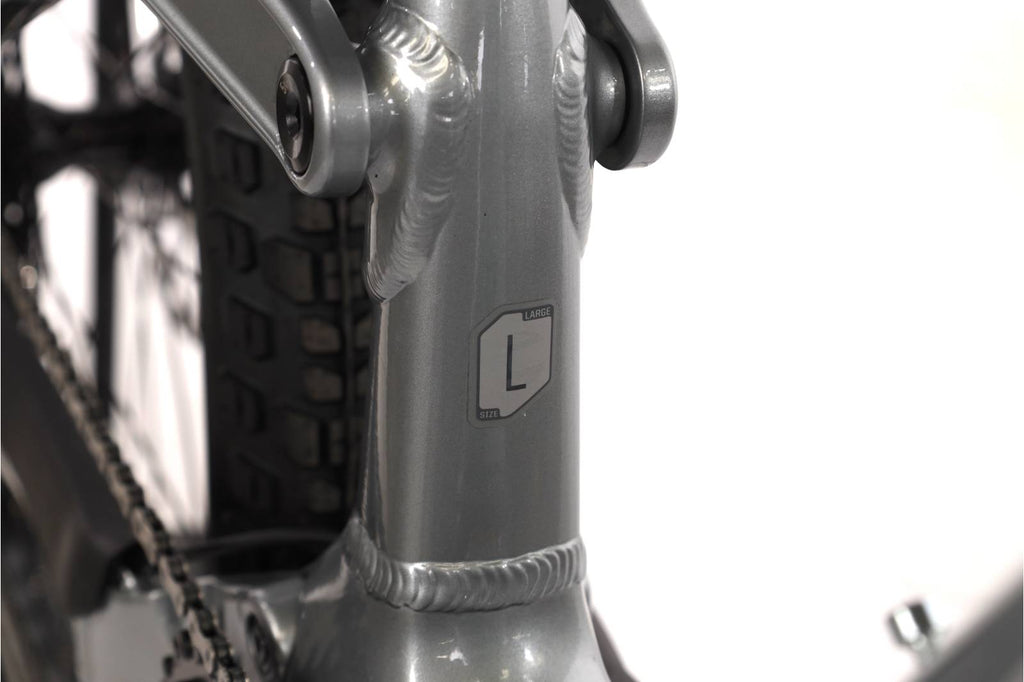 Cannondale Moterra Neo 4