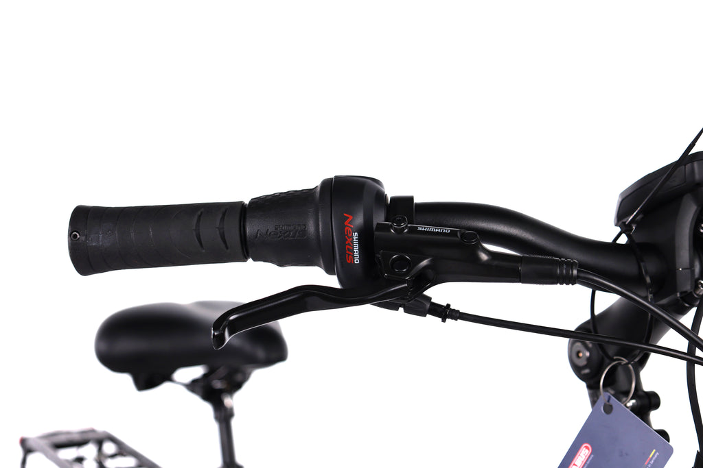 Carver Cityzen E.410 FL